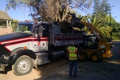 10-WHEELER-IMG_20160622_075928013