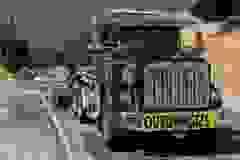 pro-AdopbujJ-min