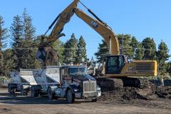 New-2025-DD-Photos-from-Chris-pro-A3TRxXui