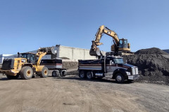 Transfer-getting-loaded